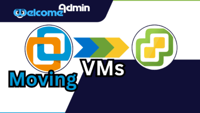 Best ways to move VM from VMware Workstation to ESXI | Moving VMs1